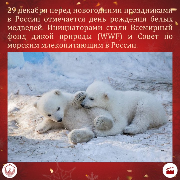 Карточка